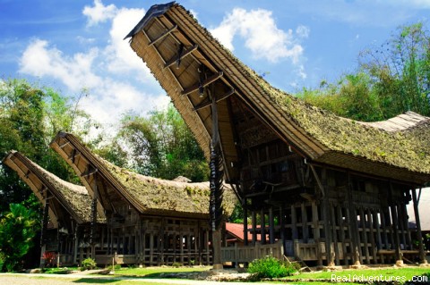 Toraja Exotic Package Tour: Photo #2 