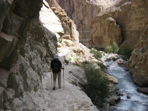 Markha Valley Trek in ladakh