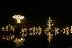 Holiday Lights at Gilroy Gardens | Gilroy, California | Photography