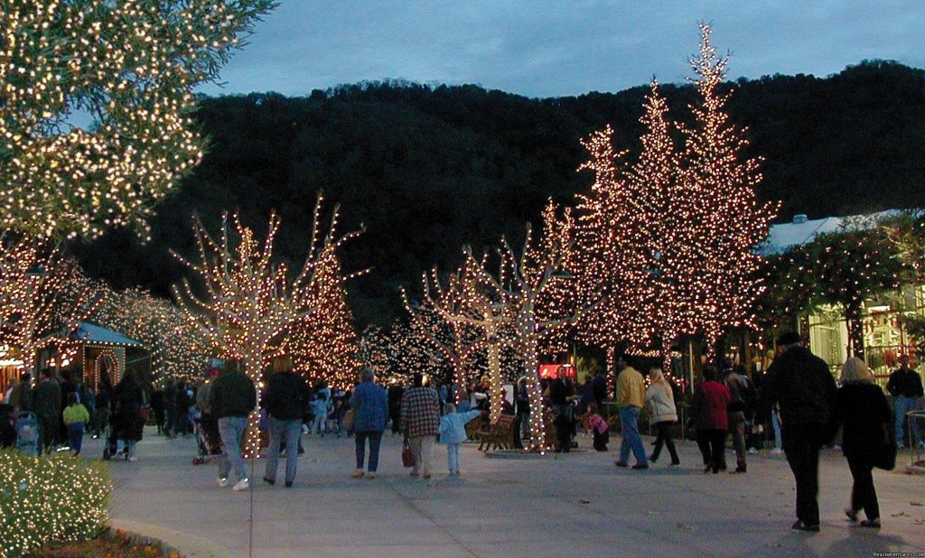 Holiday Lights at Gilroy Gardens | Image #2/2 | 