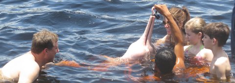 swimming with pink dolphins
