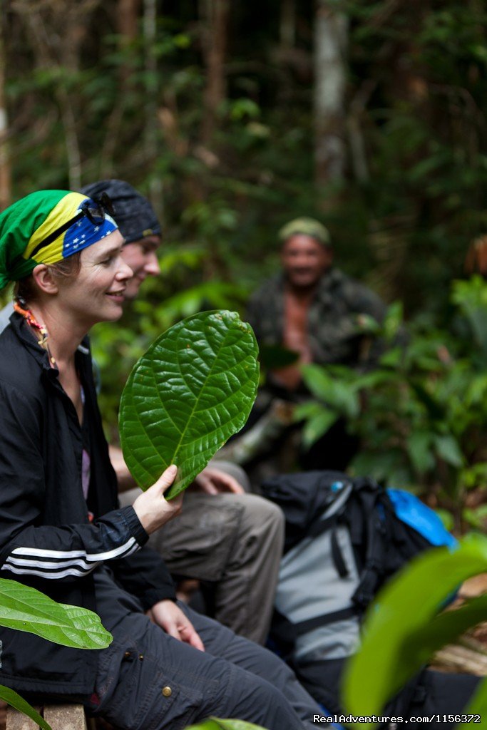 camping in deep Jungle | Brazil Manaus Amazon Jungle Tours | Image #3/10 | 