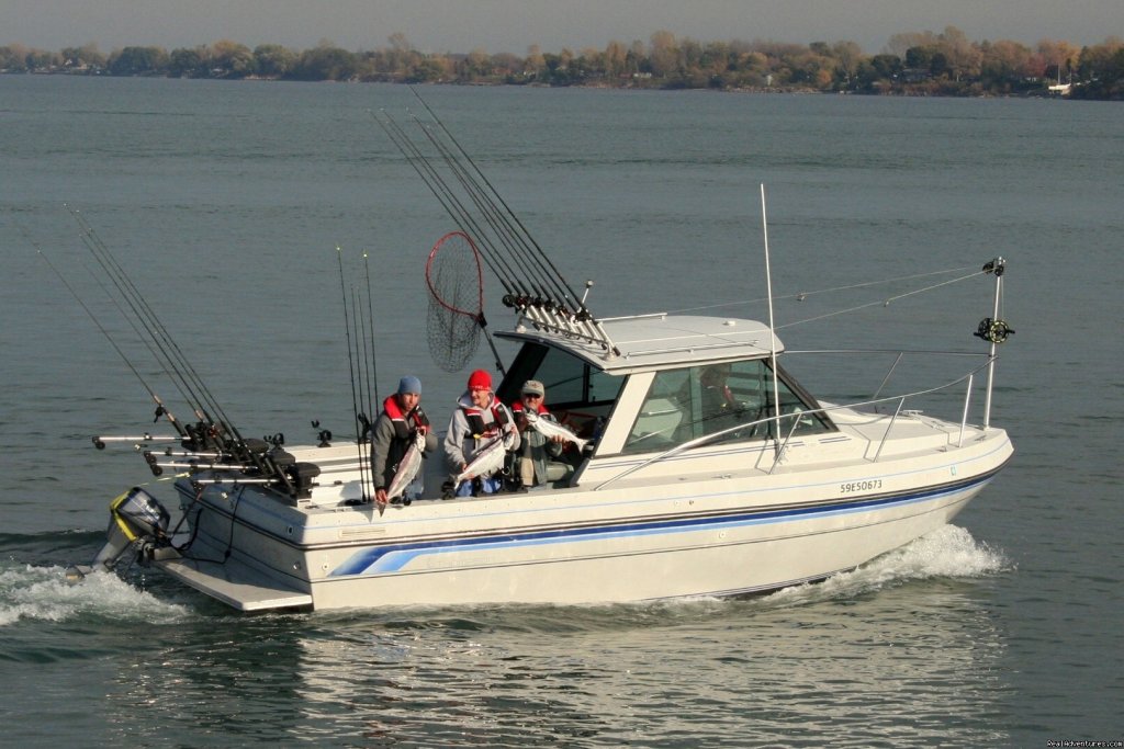   | Sport-fishing trips on Lake Ontario/Niagara River | Image #13/17 | 