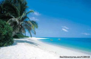 Zanzibar Beach Holiday & Mikumi National Park | Zanzibar, Tanzania Scuba Diving & Snorkeling | Great Vacations & Exciting Destinations