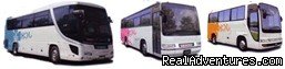 Narita airport transfer by bus | Tokyo, Japan | Car & Van Shuttle Service