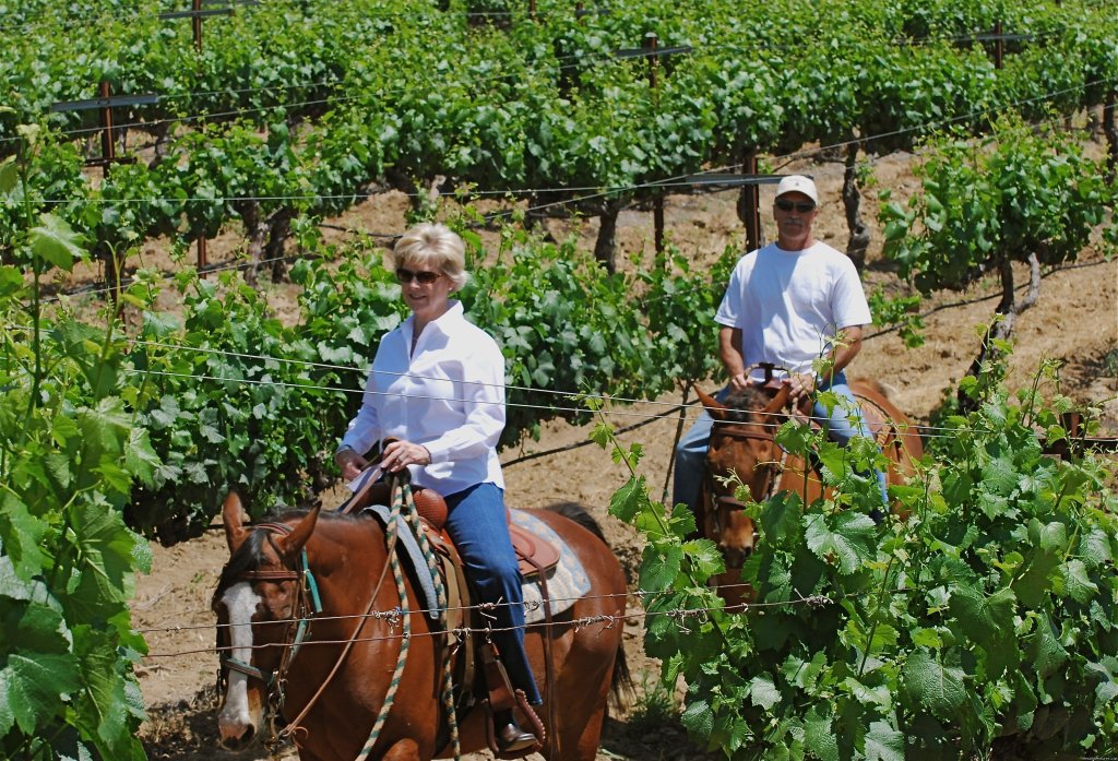Birthdays  | Wine Country Horseback Riding in Temecula CA | Image #4/8 | 