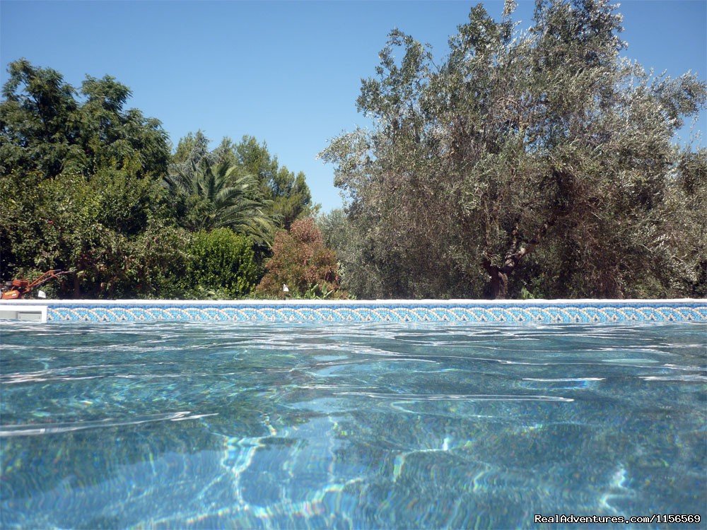 Large Swimming Pool | Villa Giuliana wine & rooms in Salento (Apulia) | Image #6/9 | 
