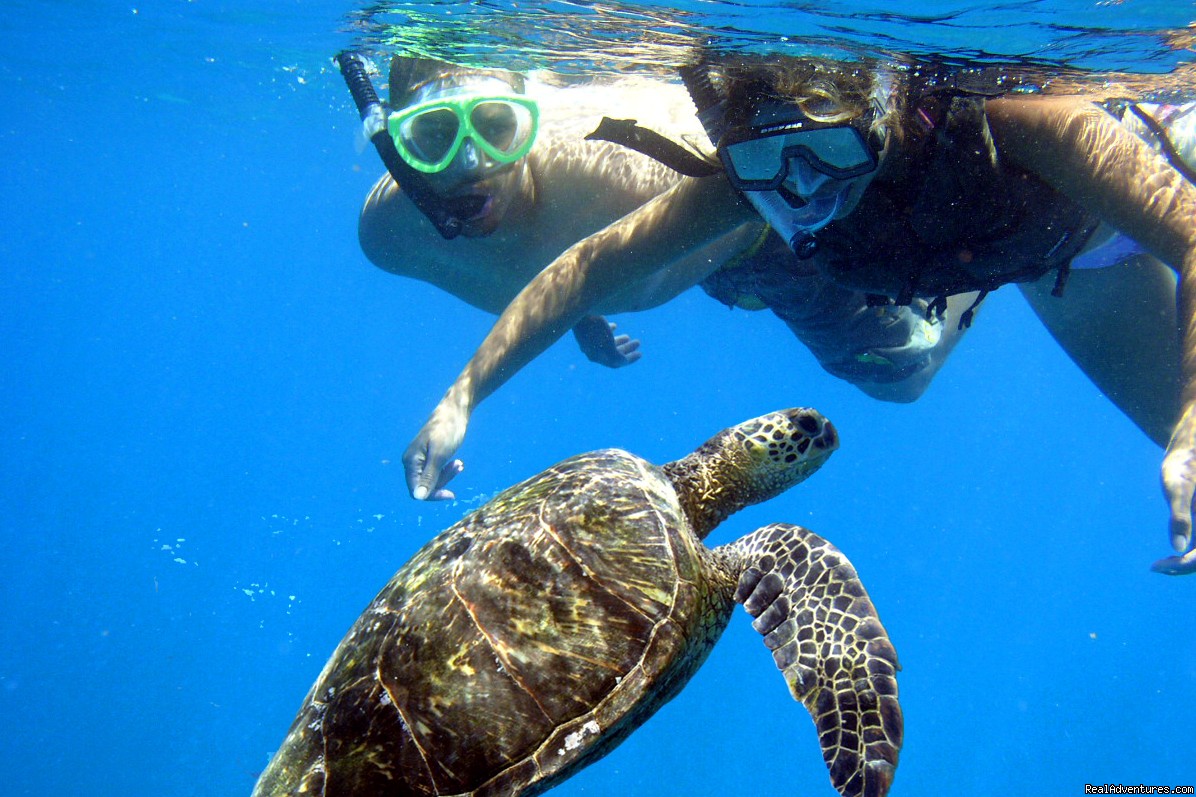 Maui's Best Kayak & Snorkel Tours, Big Island, Hawaii Kayaking