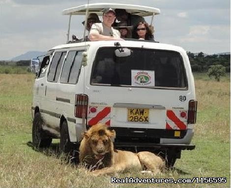 Adventure Penfam tours Kenya-Tanzania Safaris | Image #4/19 | 