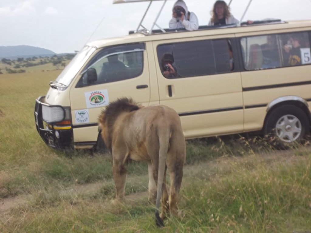 Adventure Penfam tours Kenya-Tanzania Safaris | Nairobi, Kenya | Wildlife & Safari Tours | Image #1/19 | 