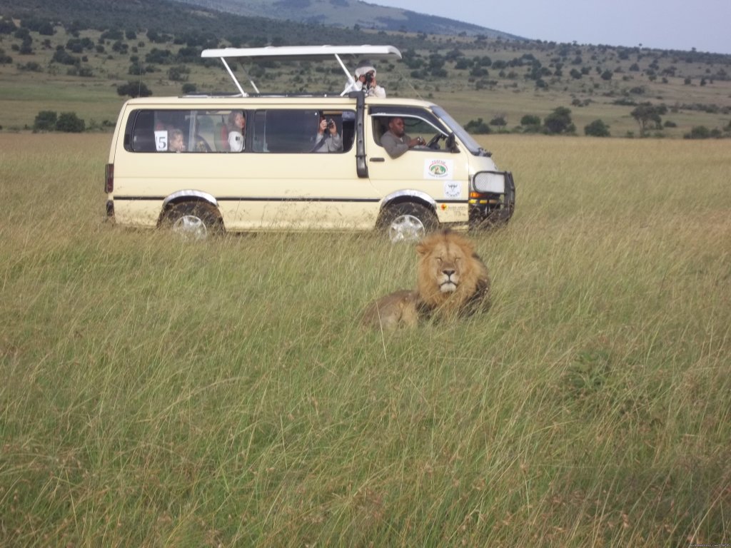 Adventure Penfam tours Kenya-Tanzania Safaris | Image #3/19 | 