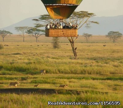 Adventure Penfam tours Kenya-Tanzania Safaris | Image #6/19 | 