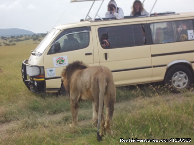 Adventure Penfam tours Kenya-Tanzania Safaris Photo