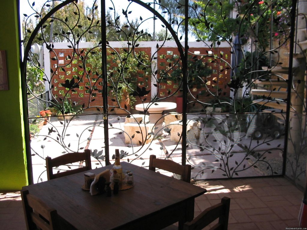 View from your kitchen to your private patio | The best kept secret in Oaxaca:  grana cochinilla  | Image #4/4 | 