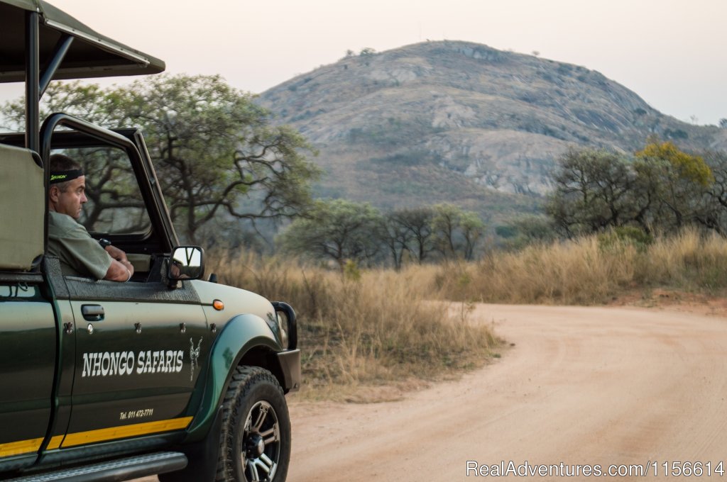 Cheetah | Nhongo Safaris (kruger National Park Safaris) | Image #11/24 | 