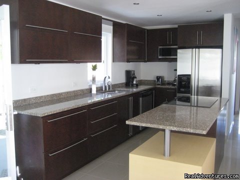 Granite Covered Kitchen with Stainless Steel Appliances | Ocean Villa 2 blocks from the beach in San Juan | Image #3/6 | 