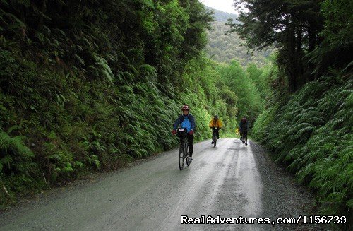 Milford Sound Cycle | Cycling tours in New Zealand, Vietnam and Japan | Image #3/3 | 