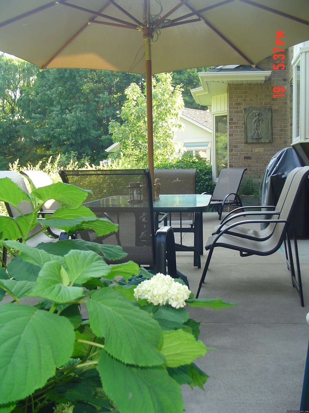 Back yard patio | Ben Brae-on-the-Park | Image #9/17 | 