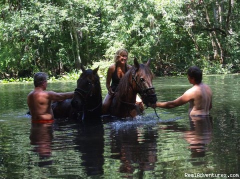 Horseback Riding Near Ocala Florida wimming Available On River Rides
