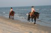 Two-bit Stable Horseback Riding on the Beach | Port St. Joe, Florida
