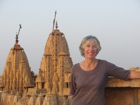 View from Roof of Jain Temples.
