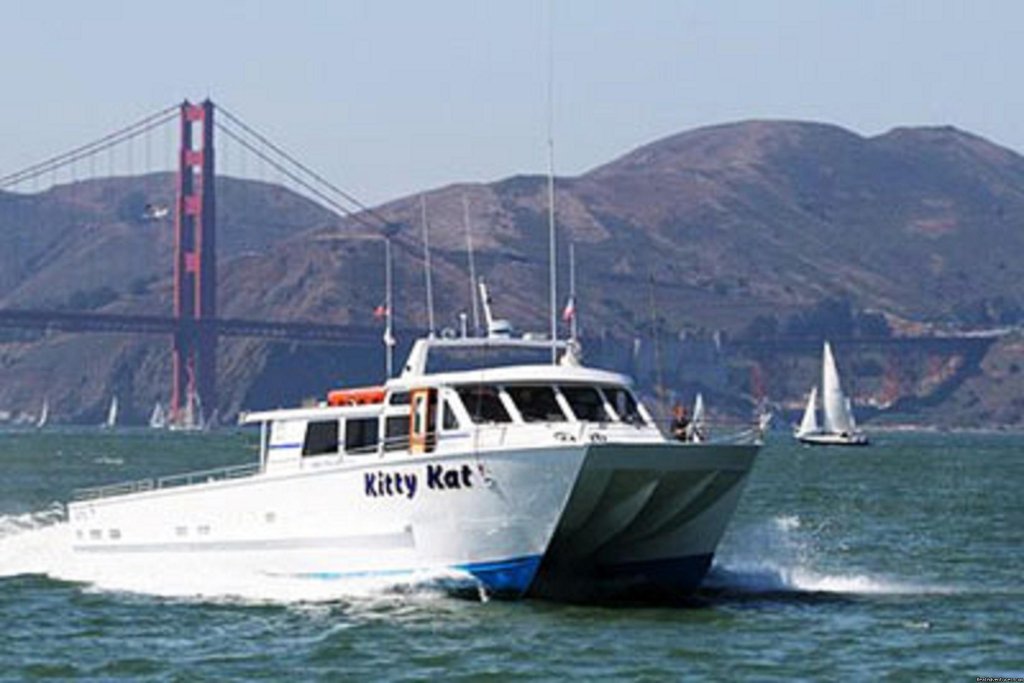 The Best Boat | San Francisco whale tours | SAN FRANCISCO, California  | Whale Watching | Image #1/19 | 