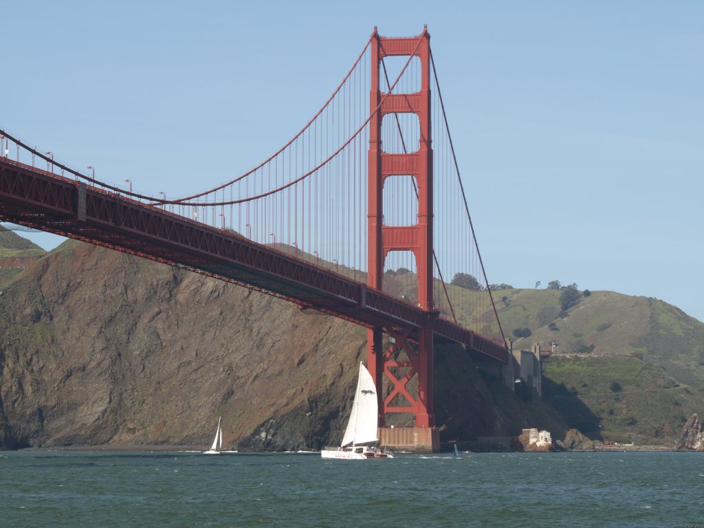 Golden Gate  | San Francisco whale tours | Image #4/19 | 