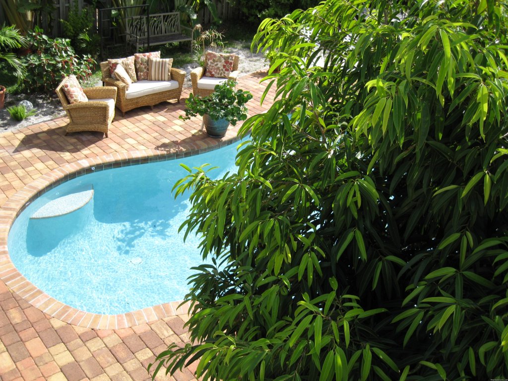 Pool Area | Tranquil Tropical Guest House | Image #5/5 | 