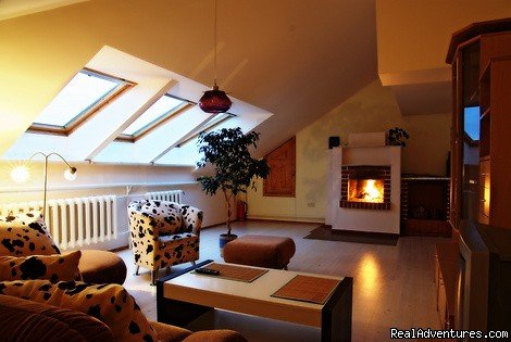 Rent a flat in Vilnius, living room | Rent a flat in Vilnius | Vilnius, Lithuania | Bed & Breakfasts | Image #1/5 | 