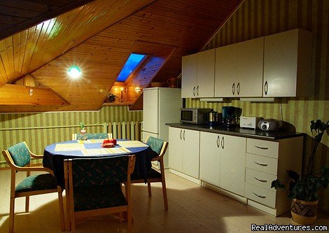 Rent a flat in Vilnius, kitchen | Rent a flat in Vilnius | Image #4/5 | 