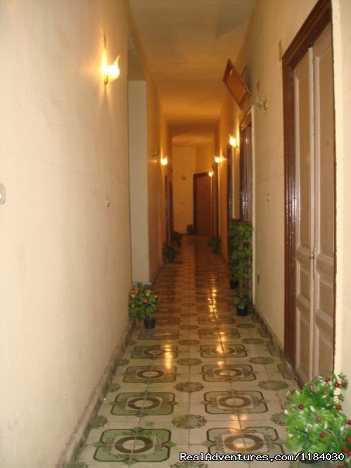 ( Each Way Hostel ) hostel hotel in Cairo Egypt | Image #11/12 | 