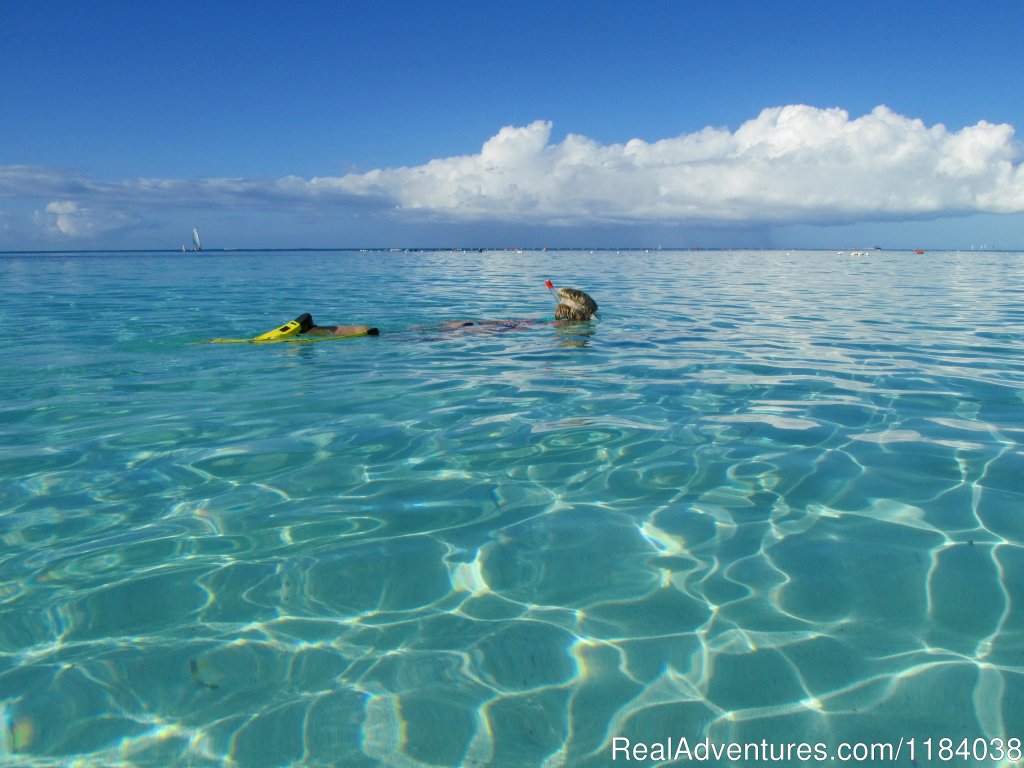 Grace Bay Beach | Vacation Villas with BONEFISHING and DIVING | Image #18/20 | 