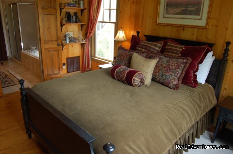 Mountain Vista Home Rental in Big Canoe: Den with Dish Network, HBO and DVD Library