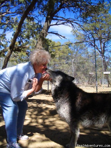 Spiritual Travel Adventures: Wolf Kiss