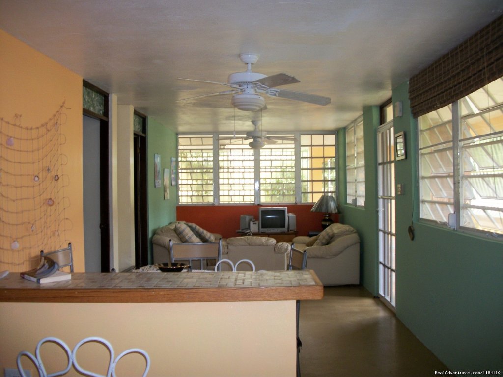 Tropical Beach Rental Home Steps From The Beach | Image #5/15 | 