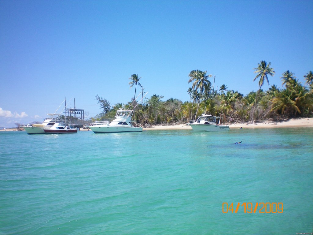 Bahia Mosquiteo,vieques | Tropical Beach Rental Home Steps From The Beach | Image #15/15 | 