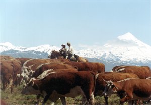 Horseback riding | Junin de los Andes, Argentina | Horseback Riding & Dude Ranches