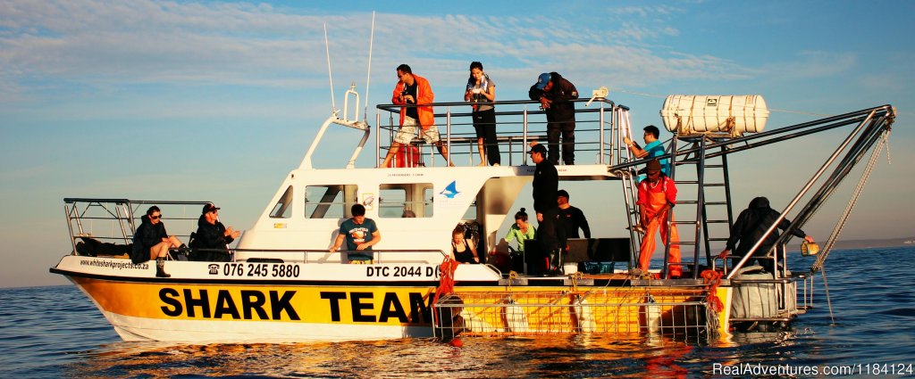 Shark Team Boat | Shark Cage Diving in South Africa | Image #2/8 | 