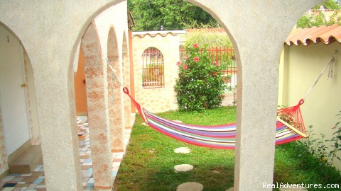 The Perfect Place to Stay Far from Home: Garden with hammock