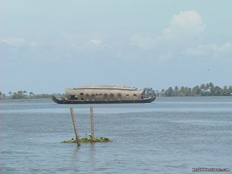 Vembanadu Lake | House Boat Cruise Kerala Kumarakom Allapuzha | Image #10/10 | 