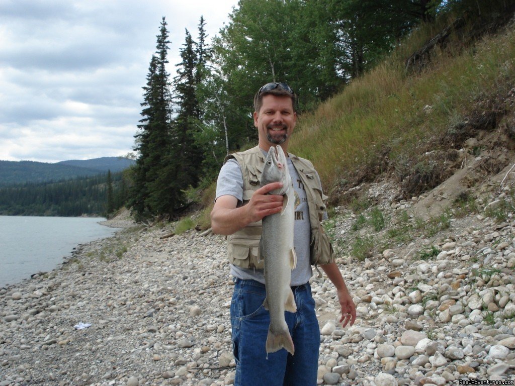 Athabasca Bull Trout | Old Entrance Cabins & Trail Rides Near Jasper Park | Image #4/12 | 