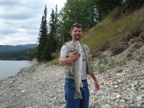 Athabasca Bull Trout