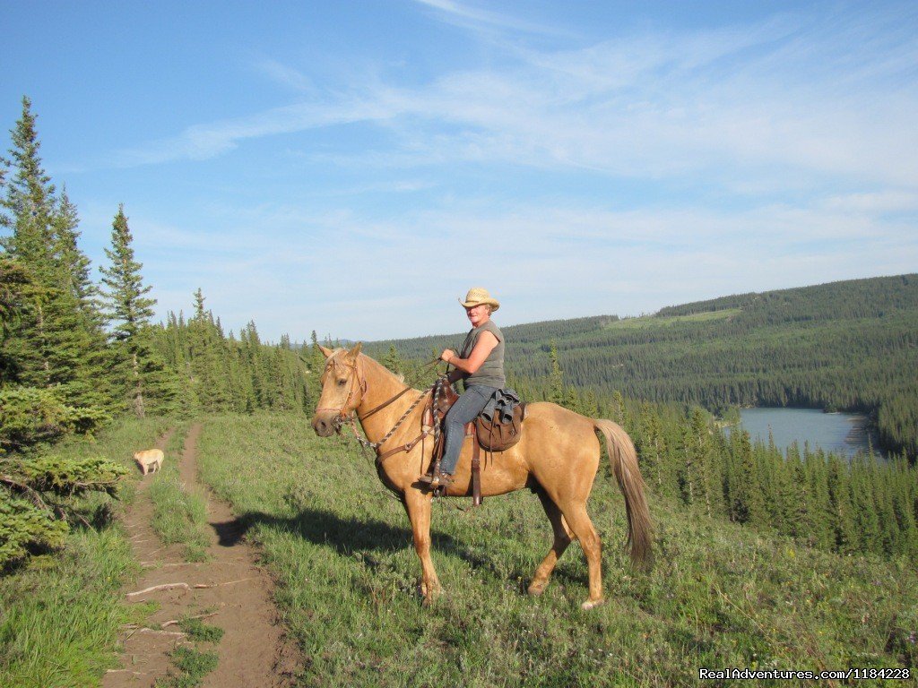 Athabasca River Ridge Trail | Old Entrance Cabins & Trail Rides Near Jasper Park | Image #7/12 | 