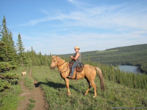 Athabasca River Ridge Trail
