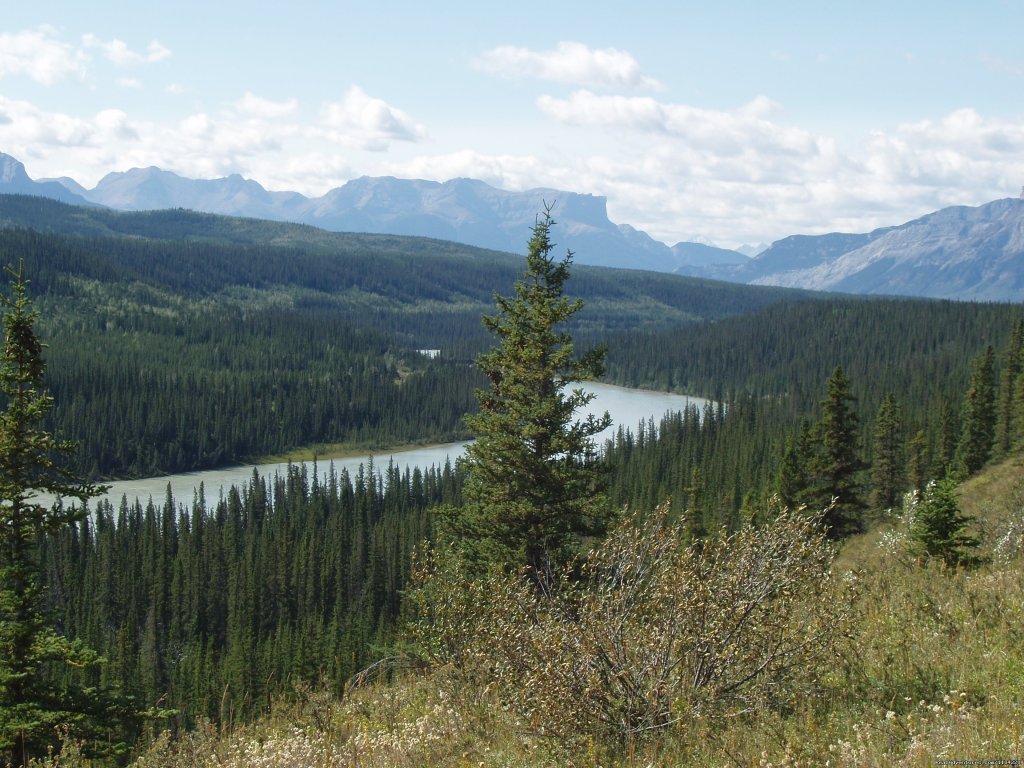 View Point | Old Entrance Cabins & Trail Rides Near Jasper Park | Image #8/12 | 