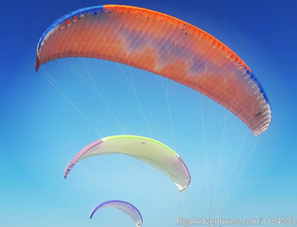 Paragliding at Kamshet | Native Place Weekend Getaway at Kamshet | Image #4/4 | 