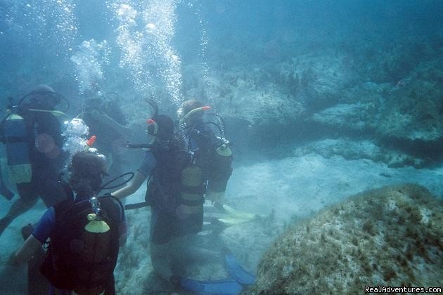 Underwater | Dive Adventures in Greece | Image #2/3 | 