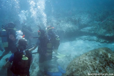 Dive Adventures in Greece: Underwater