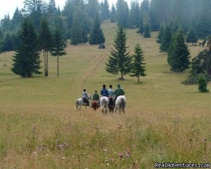 Riding Group in the Mountains | Horse Riding Trips at Calimani Equestrian Centre | Image #2/7 | 
