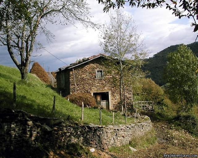 local barn | Tranquil Pyreneean retreat in the Basque Country | Image #13/14 | 